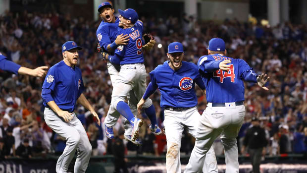 chicago-cubs-world-series-fan.jpg